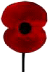 Poppy