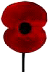 Poppy day in the UK