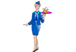 flight attendant(s)